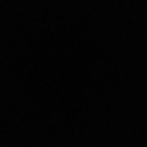 Meet your Posher, Bernice